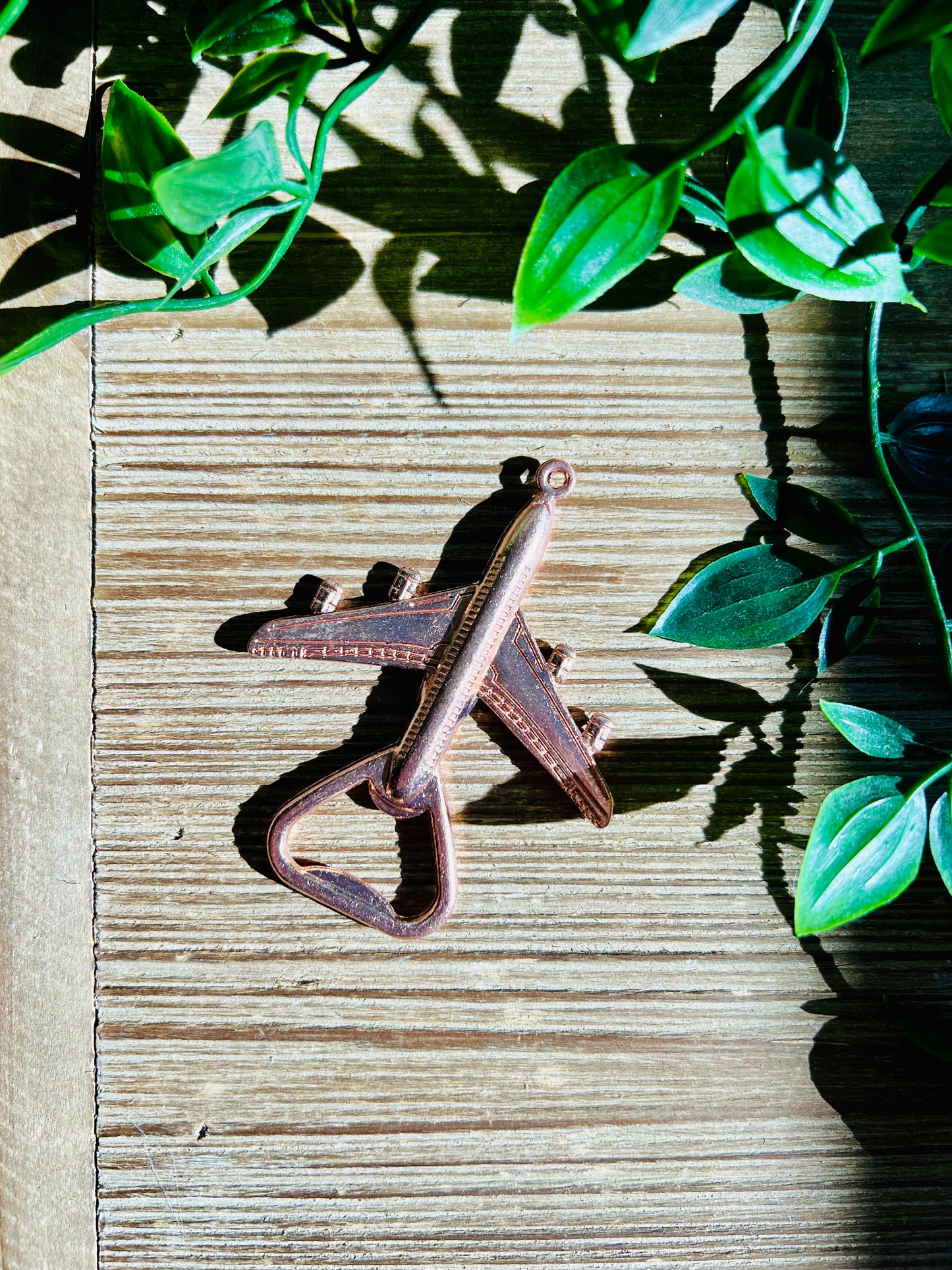Airplane Bottle Opener