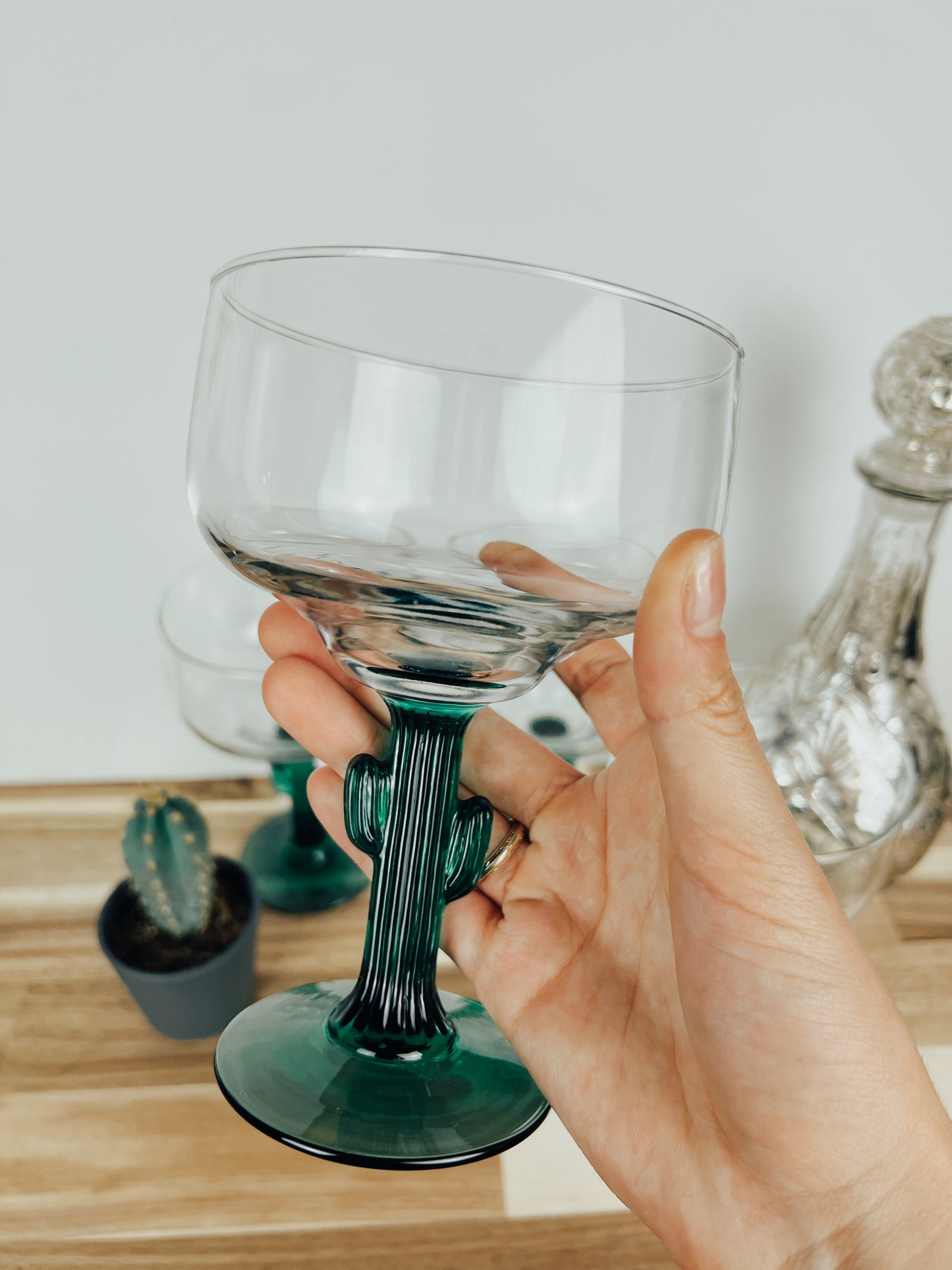 Cactus Margarita Glass Set